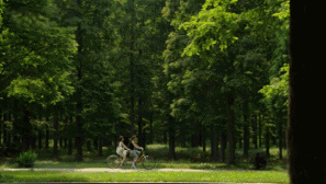 十二行宮·白羊?qū)m，盡享環(huán)島騎車之行