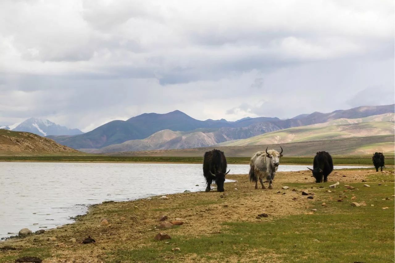 十二行宮·白羊?qū)m，盡享環(huán)島騎車之行