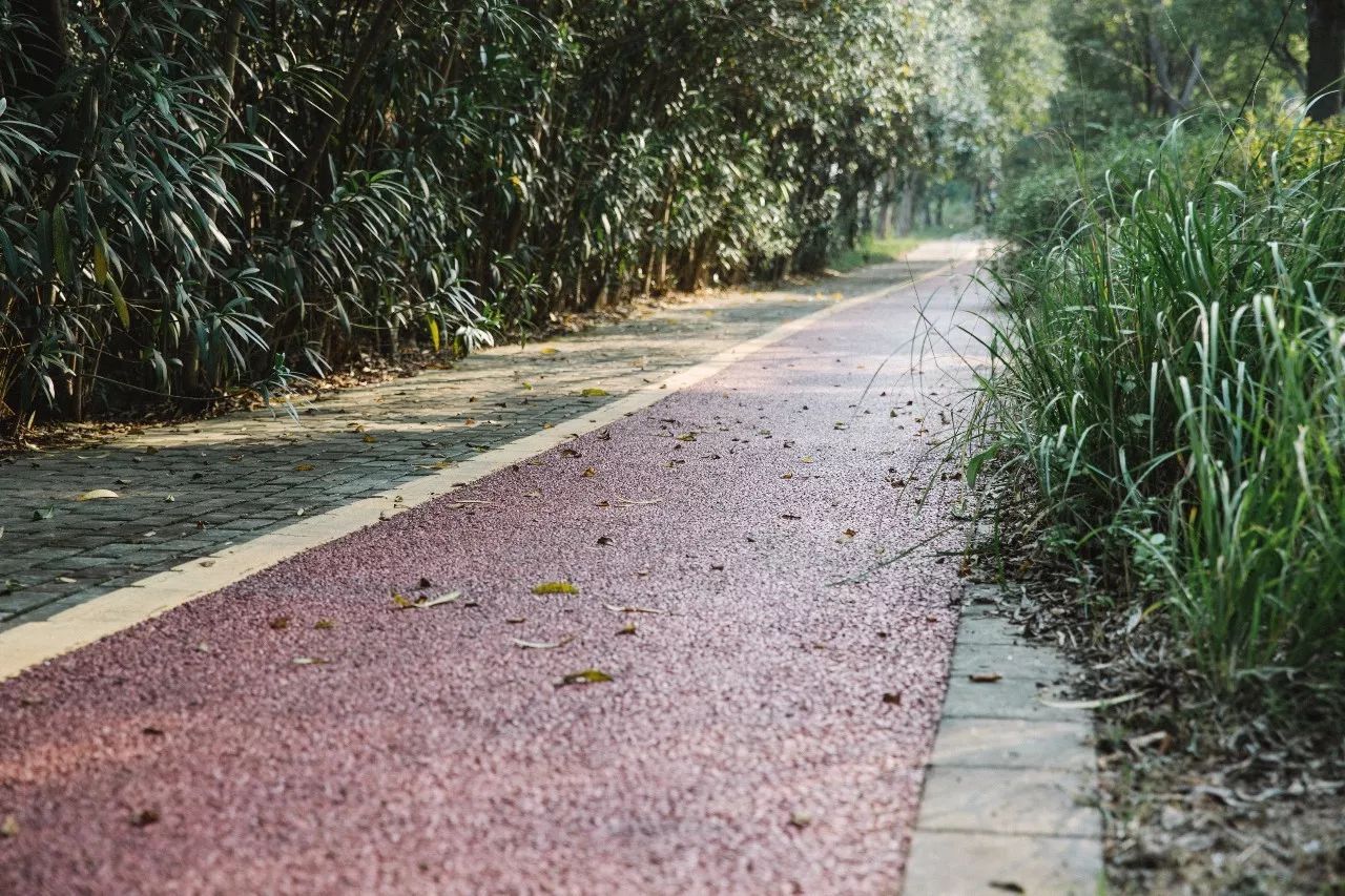 十二行宮·白羊?qū)m，盡享環(huán)島騎車之行