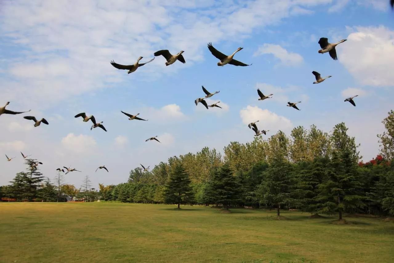 十二行宮·白羊?qū)m，盡享環(huán)島騎車之行