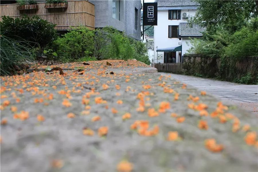 杭州·一色山墅，滿覺隴的月色喝茶散步都是雅事