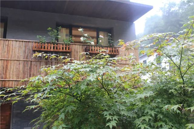 杭州·一色山墅，滿覺隴的月色喝茶散步都是雅事