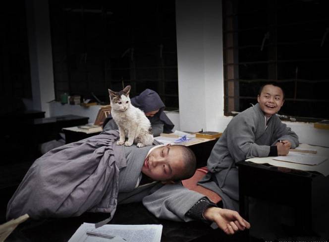 寺廟佛教文化，蕓蕓眾生便是修行