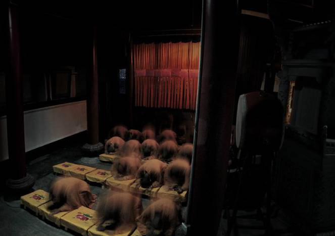 寺廟佛教文化，蕓蕓眾生便是修行