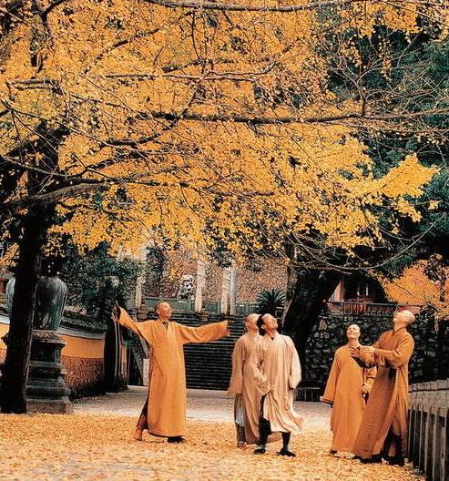 寺廟佛教文化，蕓蕓眾生便是修行