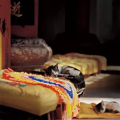 寺廟佛教文化，蕓蕓眾生便是修行