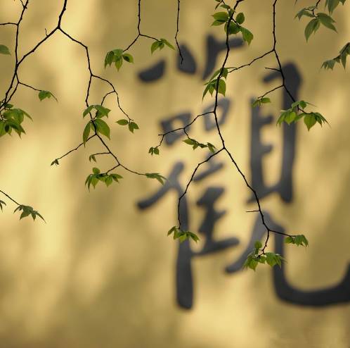 寺廟佛教文化，蕓蕓眾生便是修行