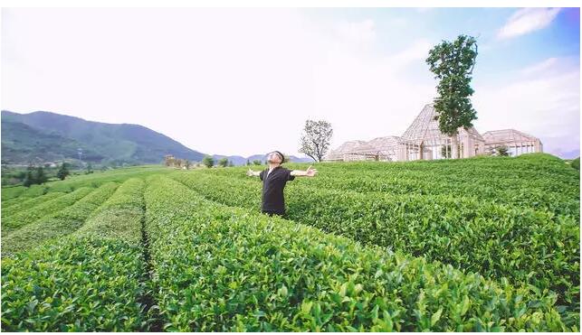 松陽·陌領(lǐng)浮光民宿，浮光指路茶香入夢(mèng)
