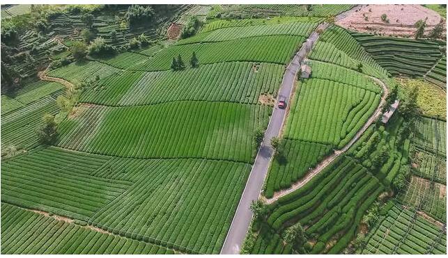 松陽·陌領(lǐng)浮光民宿，浮光指路茶香入夢