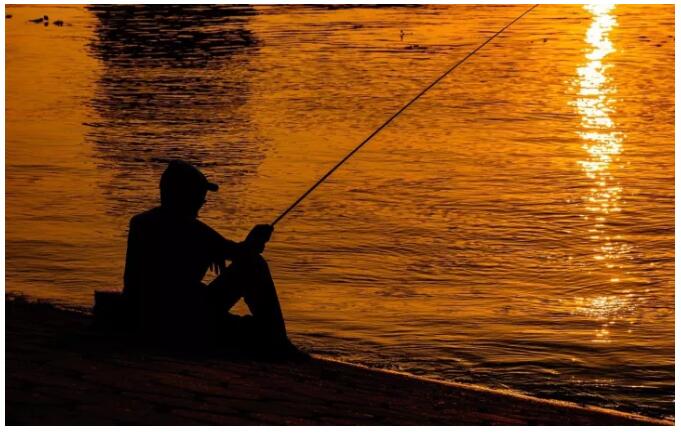 松陽·陌領(lǐng)浮光民宿，浮光指路茶香入夢
