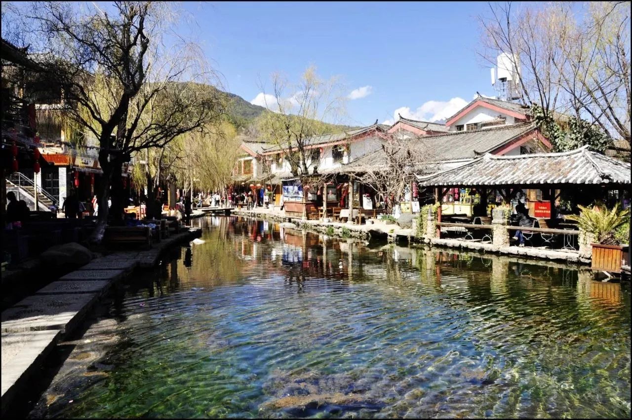 麗江束河無爾，在這里帶著夢想開花棲居