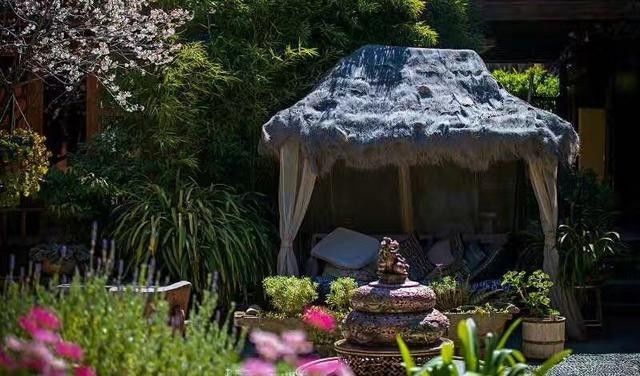 麗江束河無爾，在這里帶著夢想開花棲居