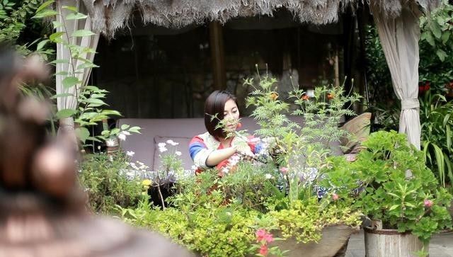麗江束河無爾，在這里帶著夢想開花棲居