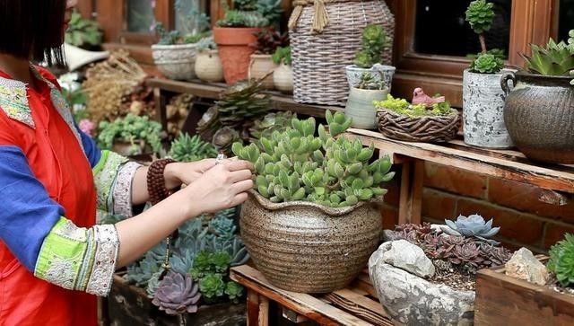 麗江束河無爾，在這里帶著夢想開花棲居