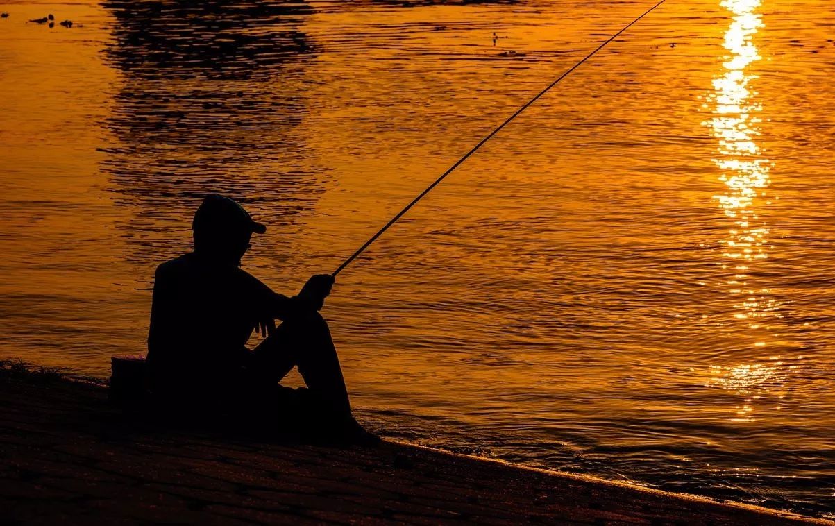 麗水·浮光，浮光指路茶香入夢蓋一間湖畔大學(xué)