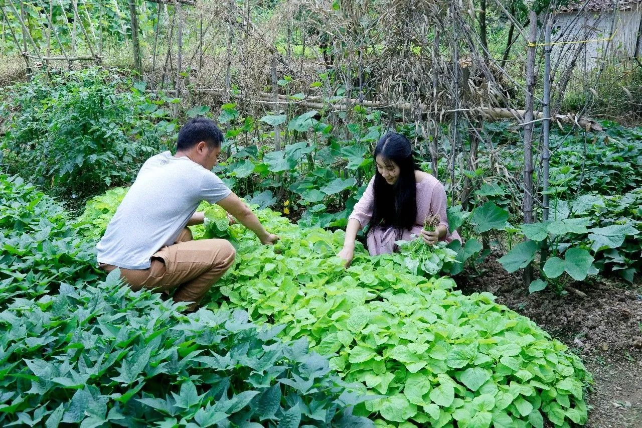 村上酒舍，體驗古村生活一起慢慢變老