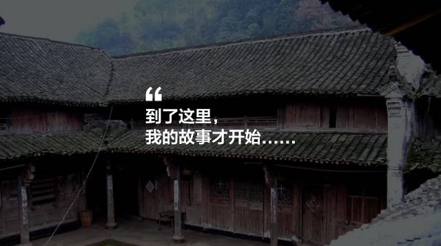 寧波·花雨醉，品花間一壺酒聽雨后醉朦朧