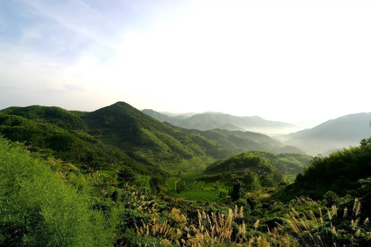 寧波·花雨醉，品花間一壺酒聽雨后醉朦朧