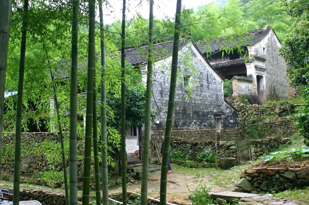 寧波·花雨醉，品花間一壺酒聽雨后醉朦朧