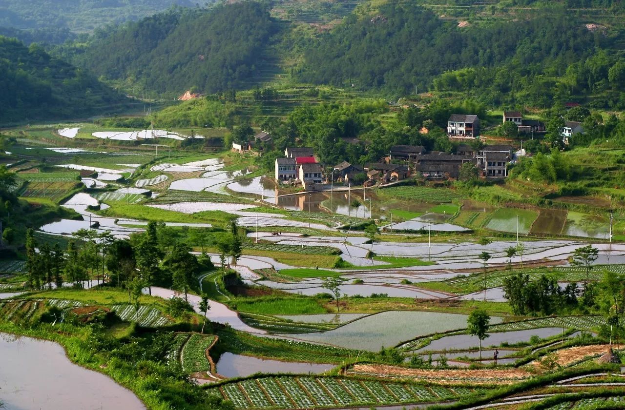 寧波·花雨醉，品花間一壺酒聽雨后醉朦朧