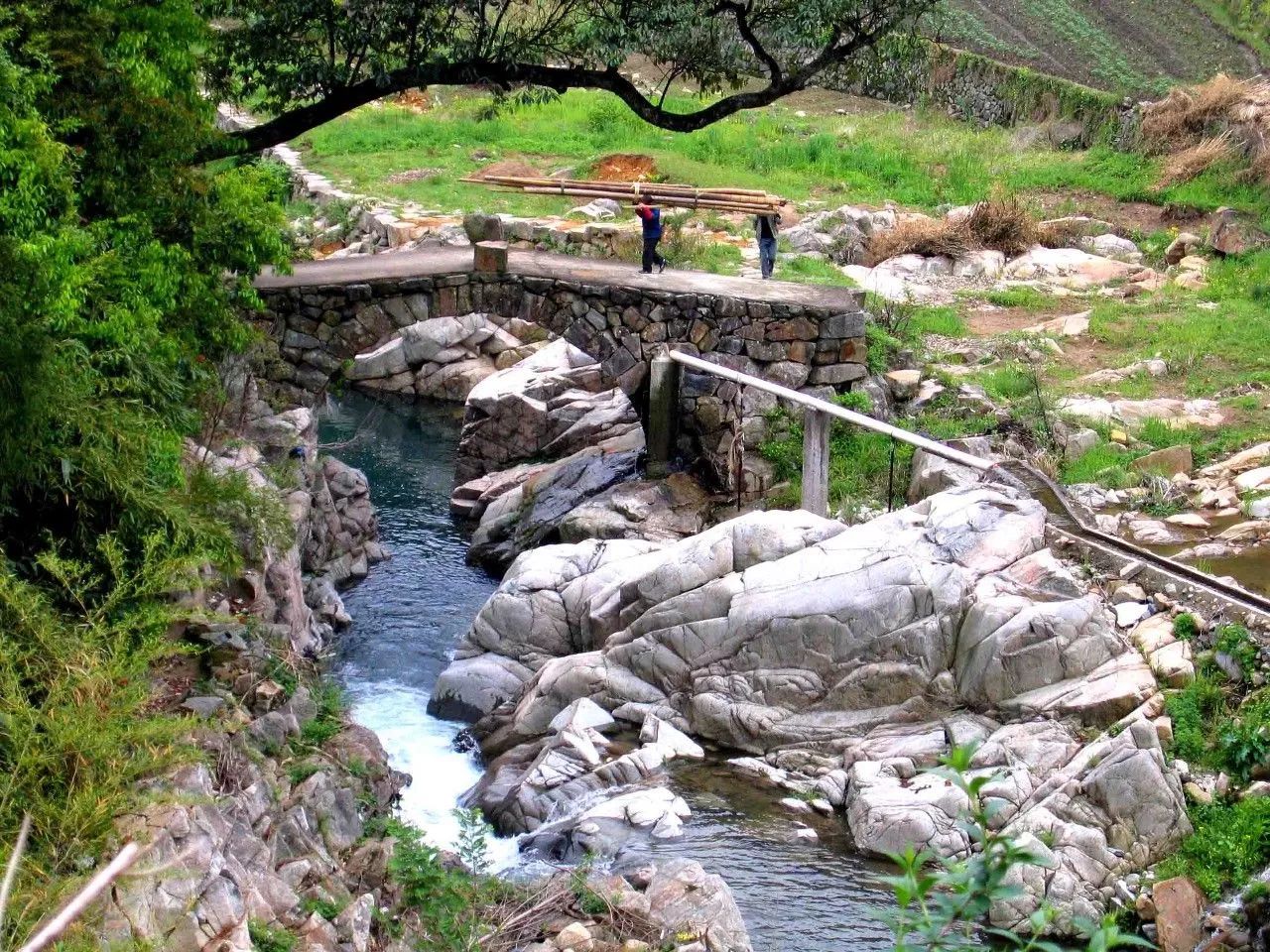 寧波·花雨醉，品花間一壺酒聽雨后醉朦朧