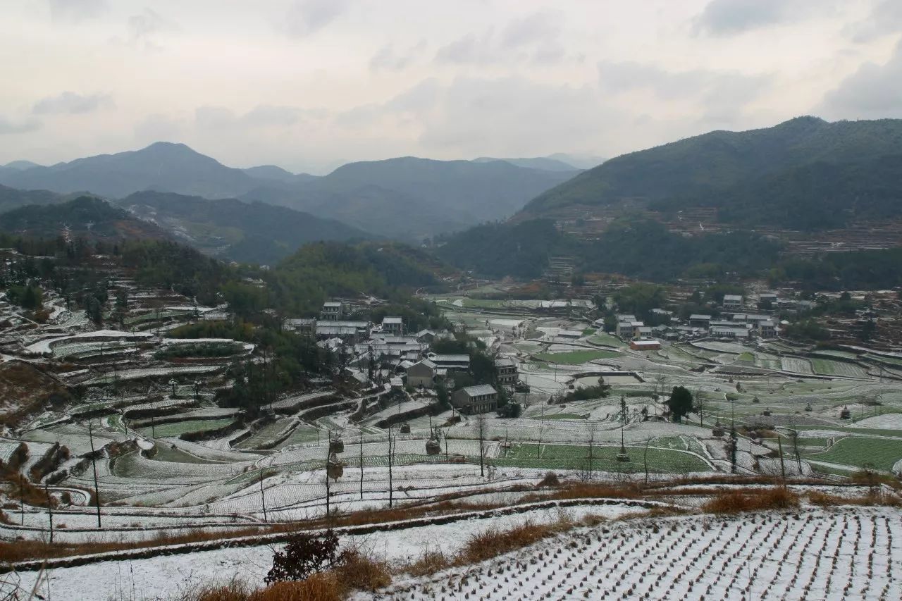 寧波·花雨醉，品花間一壺酒聽雨后醉朦朧