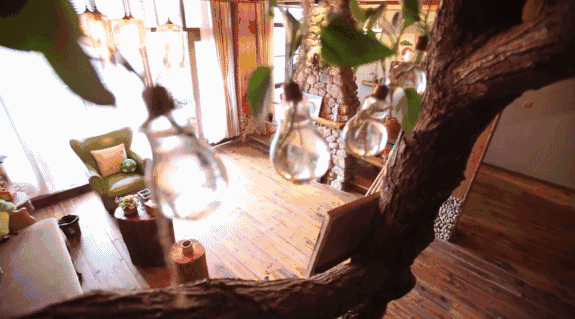 寧波·花雨醉，品花間一壺酒聽雨后醉朦朧