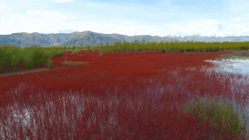 林芝·找個(gè)地兒待著，這個(gè)星球上最特別的故鄉(xiāng)