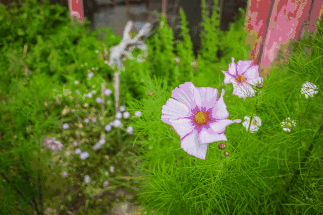 林芝·找個地兒待著，這個星球上最特別的故鄉(xiāng)