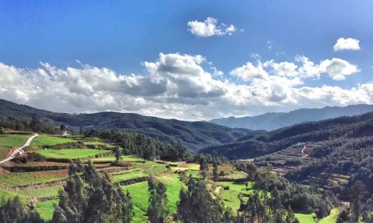 大理·依谷坐憩，在稻田里種間甜品店靜待光陰