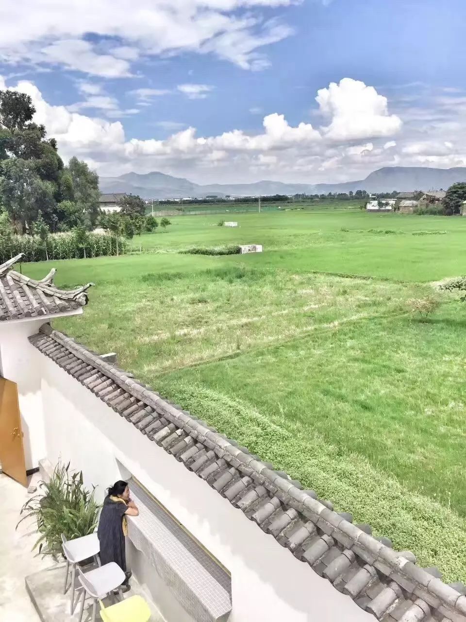 大理·依谷坐憩，在稻田里種間甜品店靜待光陰