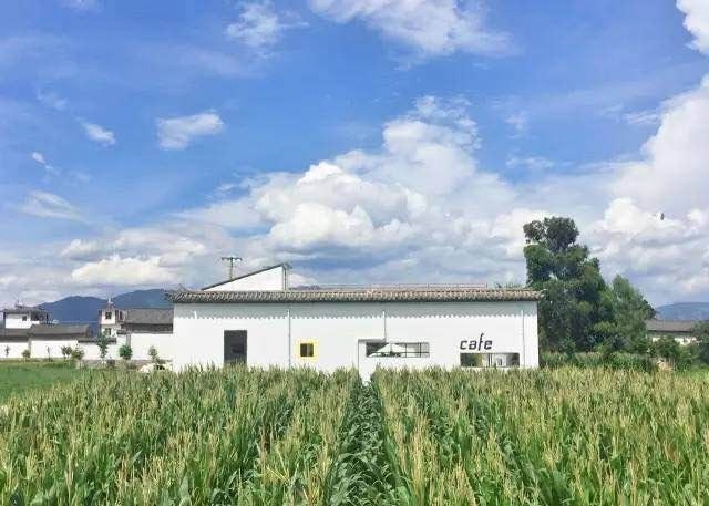 大理·依谷坐憩，在稻田里種間甜品店靜待光陰