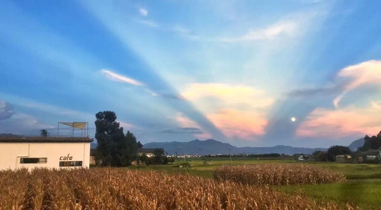 大理·依谷坐憩，在稻田里種間甜品店靜待光陰