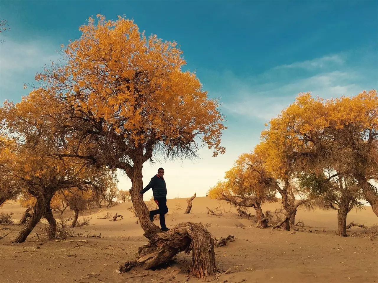 武夷山·舊街山宿，理想生活就是慢下來