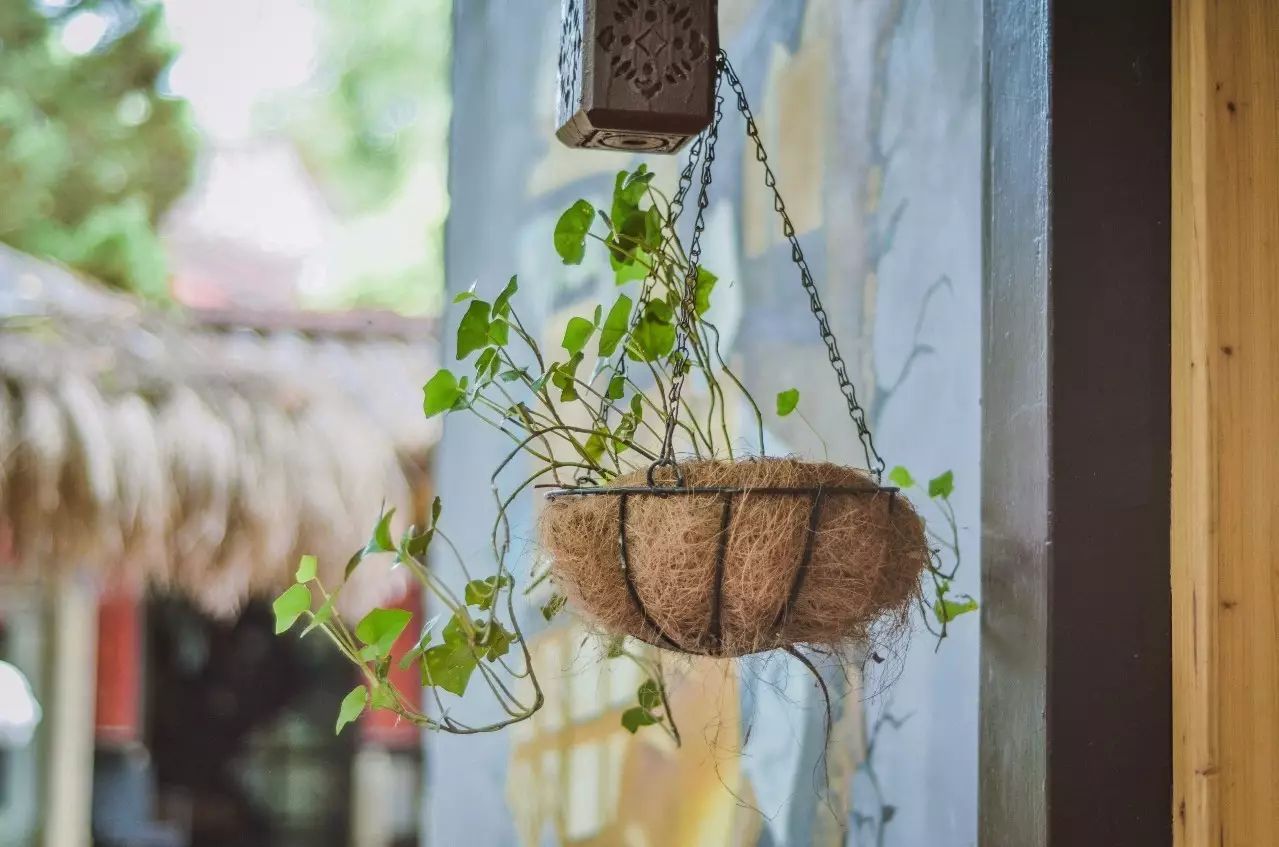 武夷山·舊街山宿，理想生活就是慢下來