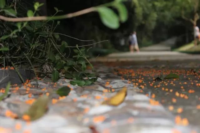 秋意正濃，與8家最美民宿一起相約杭州