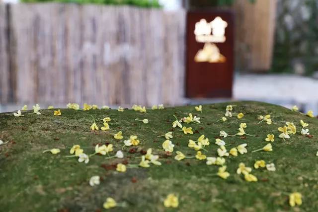 秋意正濃，與8家最美民宿一起相約杭州