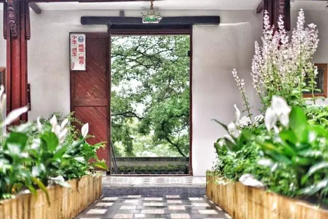 秋意正濃，與8家最美民宿一起相約杭州