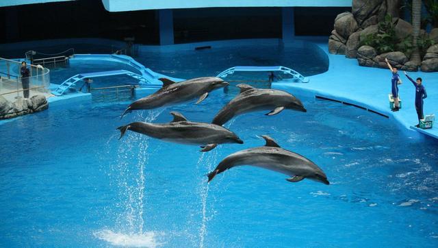 青島·Villaart維林藝墅，因為房子愛上一座城