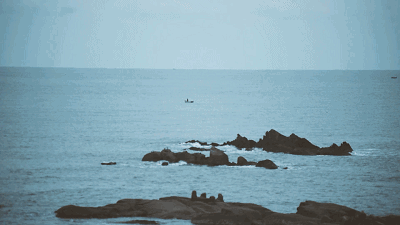 青島·Villaart維林藝墅，因為房子愛上一座城