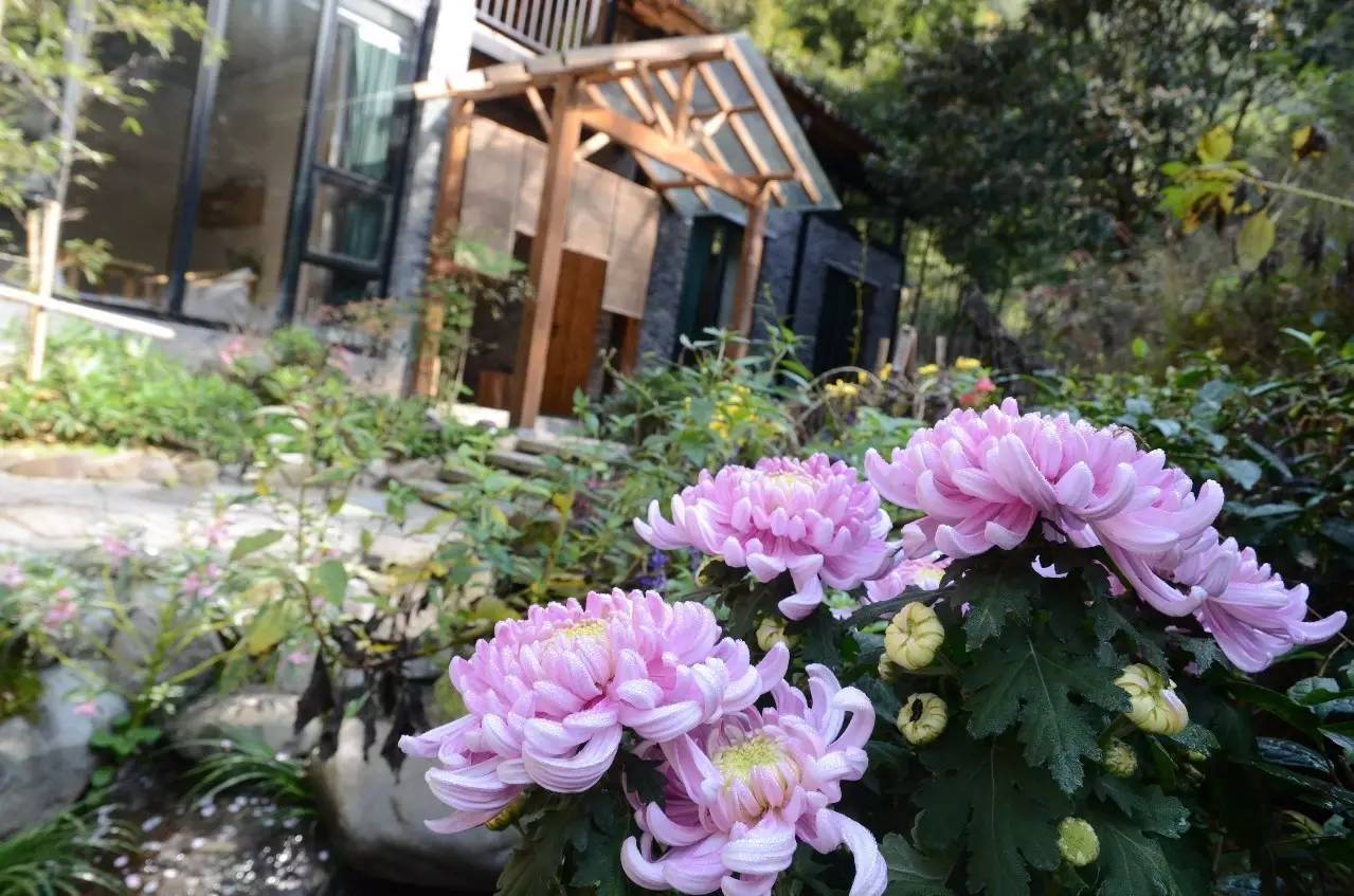 雪坑村·美客愛途，愛上美麗的客居地和旅途故事