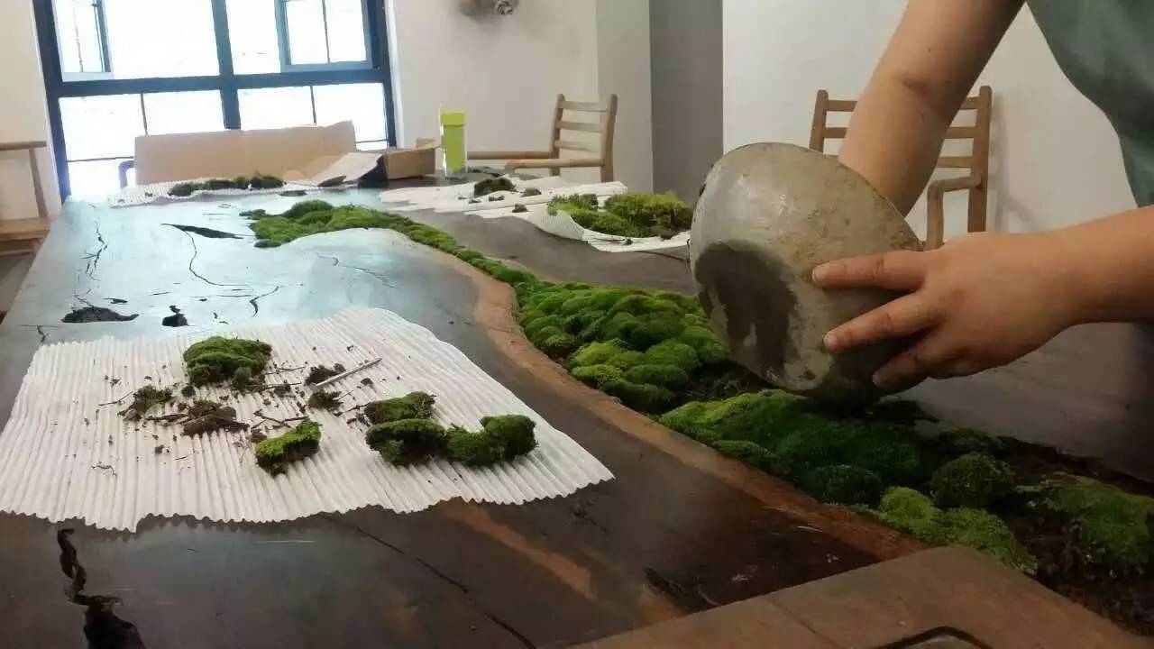 雪坑村·美客愛途，愛上美麗的客居地和旅途故事