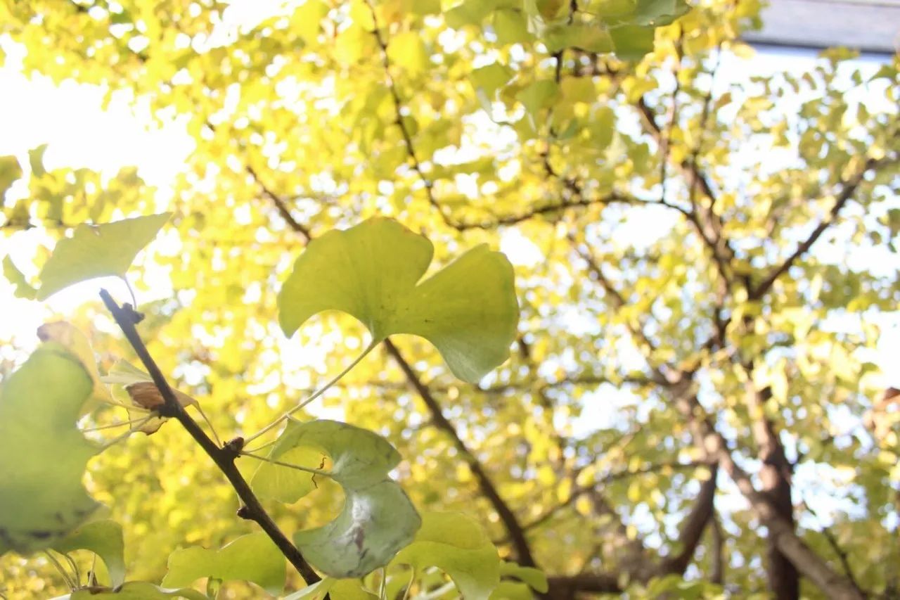 杭州·駐Hotel，在杭州最美季節(jié)體驗藝術(shù)空間