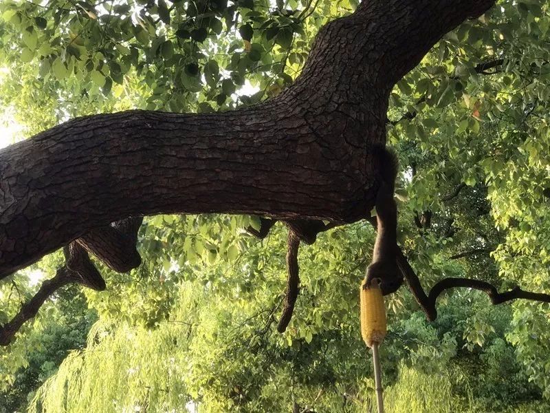 杭州·駐Hotel，在杭州最美季節(jié)體驗藝術(shù)空間