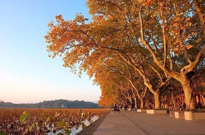 杭州·駐Hotel，在杭州最美季節(jié)體驗藝術(shù)空間