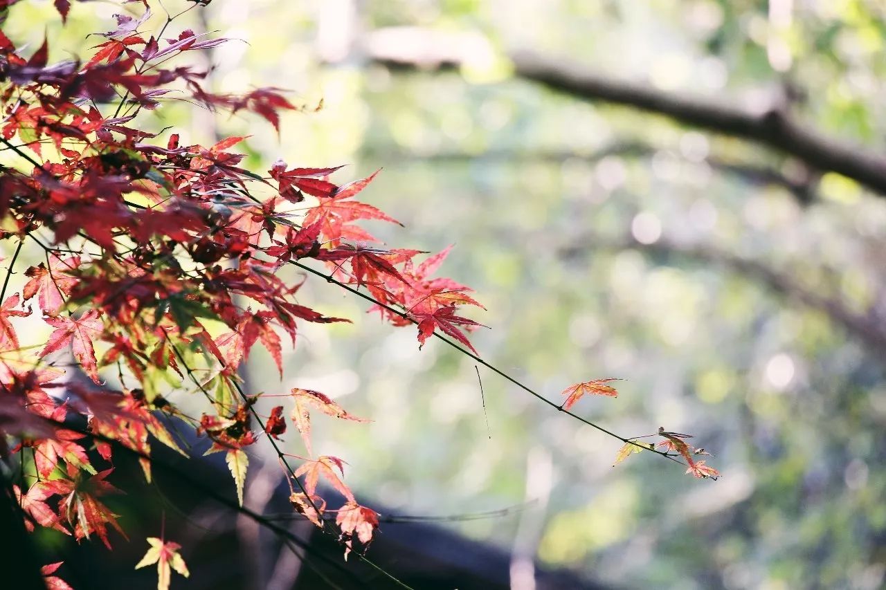 杭州·駐Hotel，在杭州最美季節(jié)體驗(yàn)藝術(shù)空間