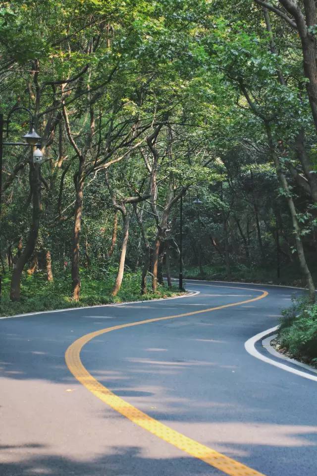 杭州·駐Hotel，在杭州最美季節(jié)體驗(yàn)藝術(shù)空間