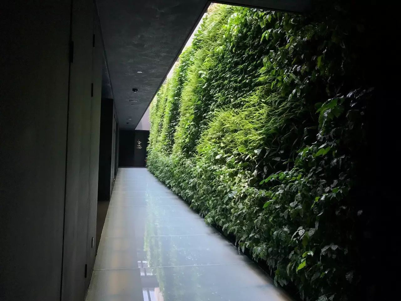 杭州·駐Hotel，在杭州最美季節(jié)體驗(yàn)藝術(shù)空間