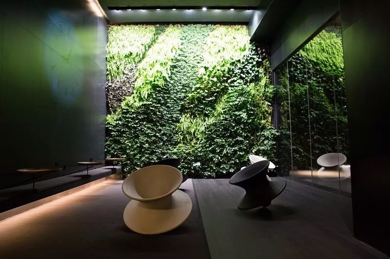 杭州·駐Hotel，在杭州最美季節(jié)體驗(yàn)藝術(shù)空間