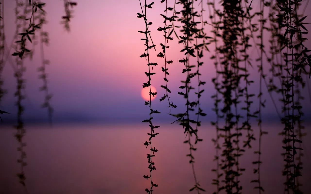 杭州·駐Hotel，在杭州最美季節(jié)體驗(yàn)藝術(shù)空間
